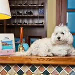 Lh La Funtana (adults Only) Hotel