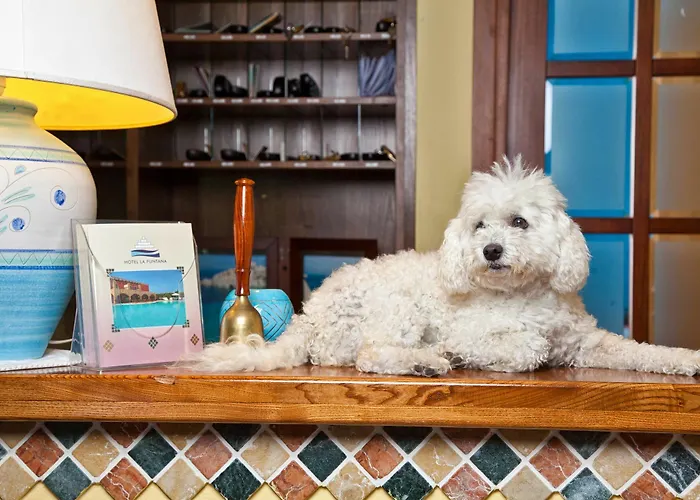 Lh La Funtana (adults Only) Hotel